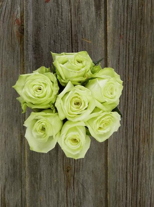 GREEN TEA  GREEN ROSES